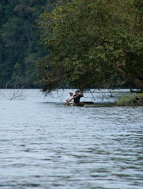 Jungle canoe