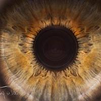 Photographic Eye