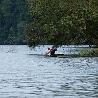 Jungle canoe